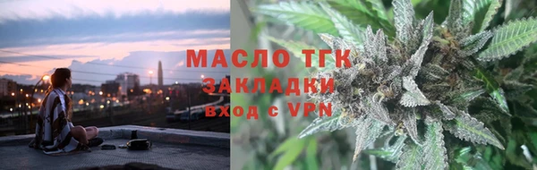 гашик Ельня