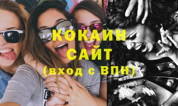 стаф Дмитровск