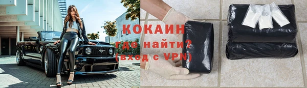 гашик Ельня