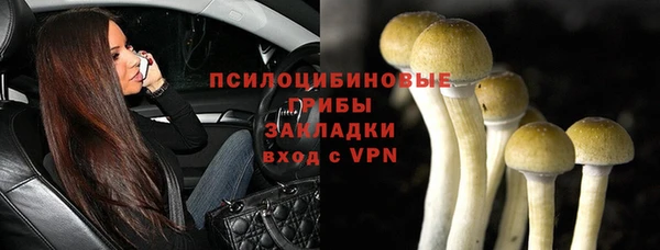 гашик Елизово