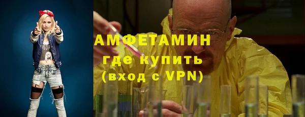 стаф Дмитровск