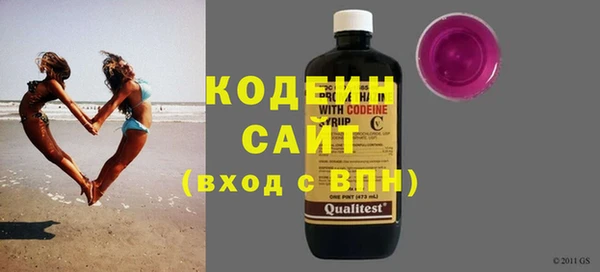 гашик Ельня
