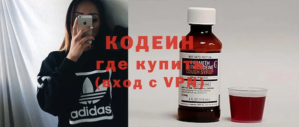 гашик Ельня