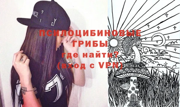 стаф Дмитровск