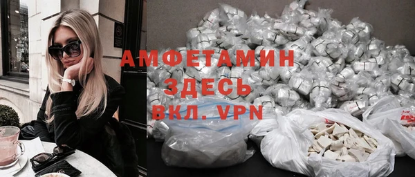гашик Ельня