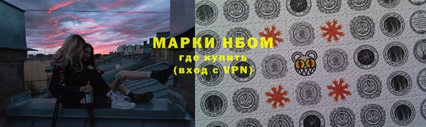 гашик Елизово