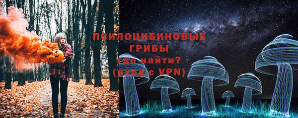стаф Дмитровск