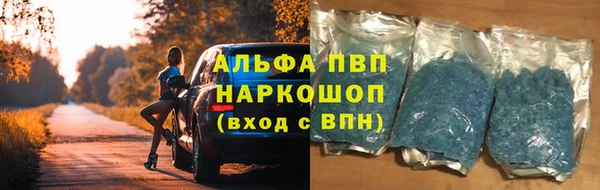 стаф Дмитровск