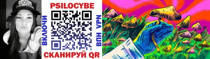 Купить где  Краснотурьинск  Галлюциногенные грибы прущие грибы 